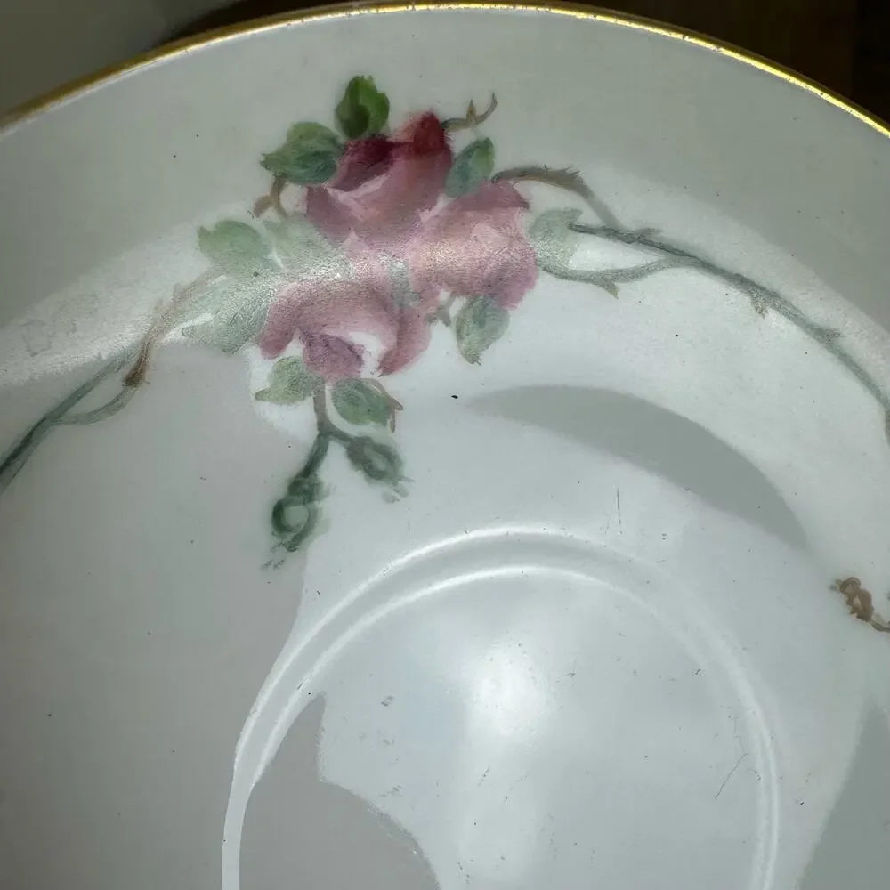 Antique Gotham Austria W.E.B. red rose transferware cup‎ saucer & cookie plate